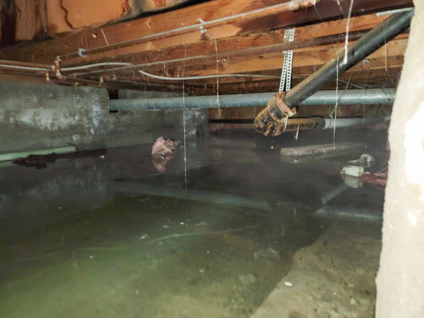 Best Ceiling water damage repair  in Camas, WA