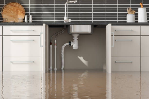 Best 24-hour water damage restoration  in Camas, WA