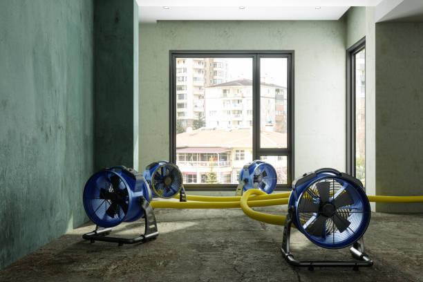 Water damage restoration process in Camas, WA