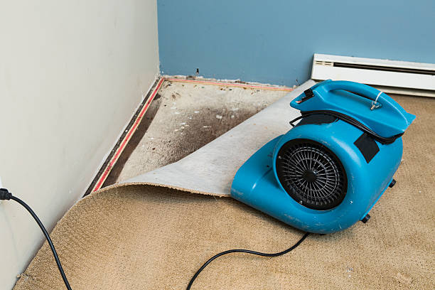 Best Water damage restoration experts  in Camas, WA
